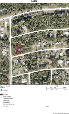 Lots 35 & 36 LUELLA AVENUE, PAISLEY, FL 32767