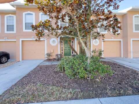 9819 ASHBURN LAKE DRIVE, TAMPA, FL 33610