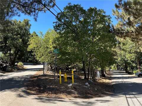 39329 Prospect Drive, Forest Falls, CA 92339