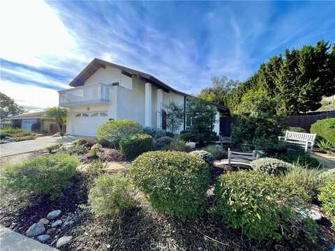 29221 Tieree Street, Laguna Niguel, CA 92677