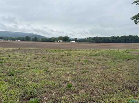 Lot 7 Hobbs Island Road SE, Huntsville, AL 35803
