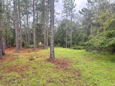 Wales, INTERLACHEN, FL 32148