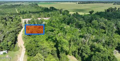 Lot #11 Long Branch Lane, Greenwood, FL 32443