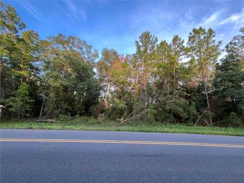 Twin Lakes Road, INTERLACHEN, FL 32148