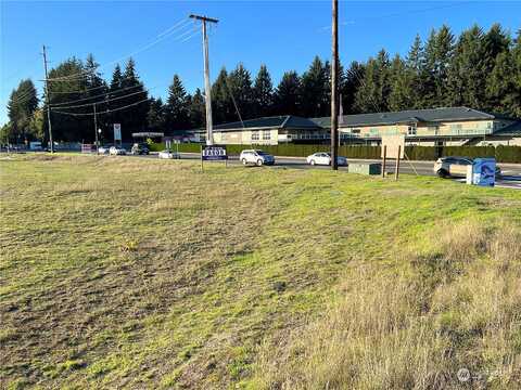 Yelm, OLYMPIA, WA 98501