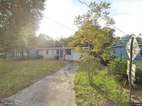 Strawflower, JACKSONVILLE, FL 32209