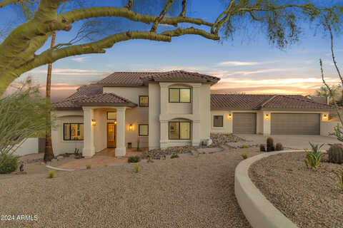 Cholla, FOUNTAIN HILLS, AZ 85268