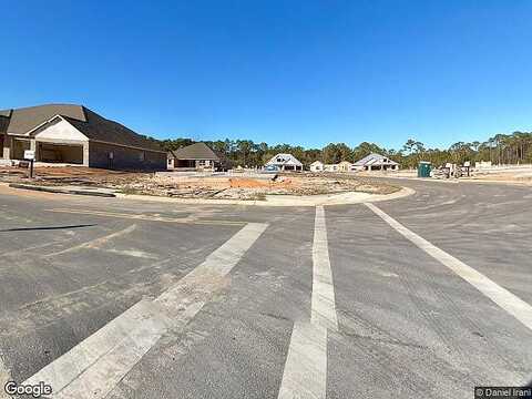 Phoenix Palm, GULF BREEZE, FL 32563