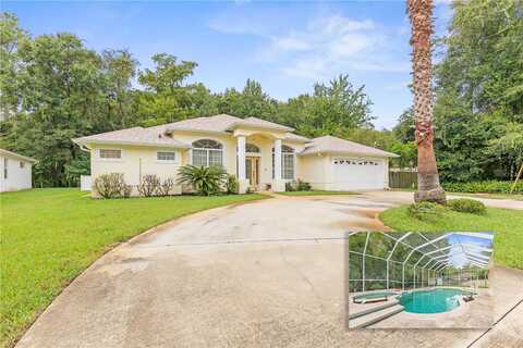 Zephyr Lily, PALM COAST, FL 32164