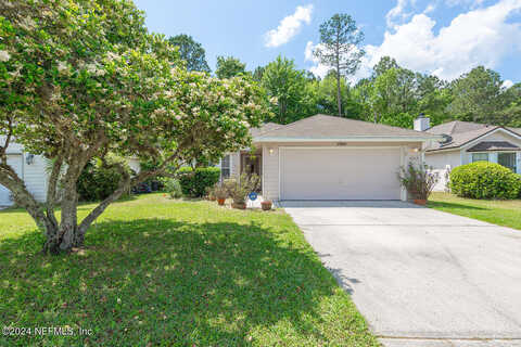 Hanging Moss, ORANGE PARK, FL 32073