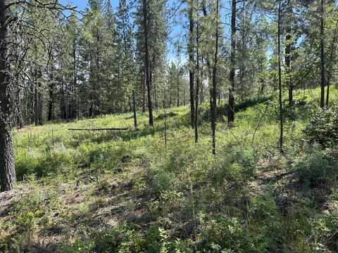 1181 FUMI CIR, KETTLE FALLS, WA 99141