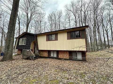 Locust Ridge, POCONO LAKE, PA 18347