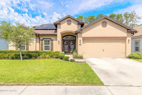 Coopers Hawk, PALM COAST, FL 32164