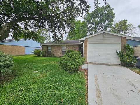 Scotch Pine, HOUSTON, TX 77049
