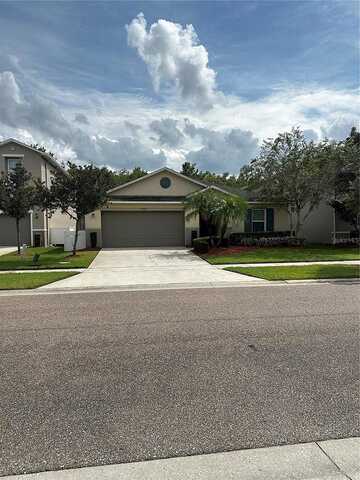 Blue Diamond, KISSIMMEE, FL 34746