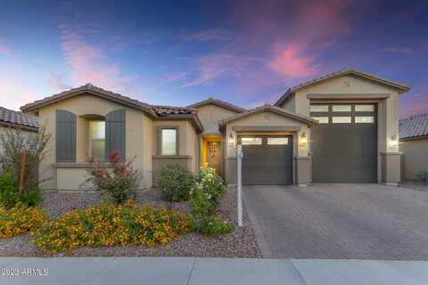 Rosa, QUEEN CREEK, AZ 85142