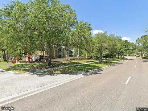 Carrington Park, TAMPA, FL 33647