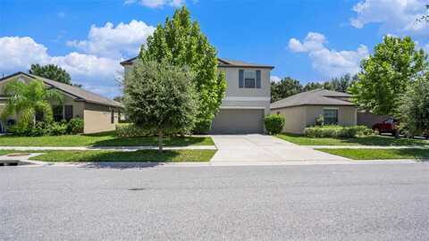 Carloway Hills, WIMAUMA, FL 33598