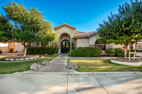 Spruce, CHANDLER, AZ 85286