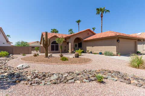 Buttonwood, SUN LAKES, AZ 85248