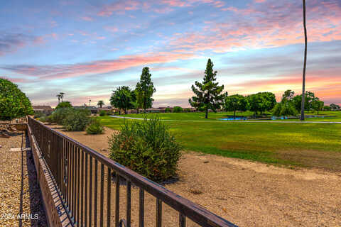 Cherry Tree, SUN CITY, AZ 85373