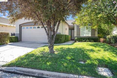 Jonagold, BRENTWOOD, CA 94513