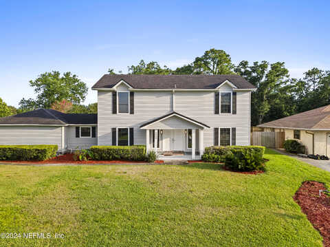 Fallen Tree, JACKSONVILLE, FL 32246