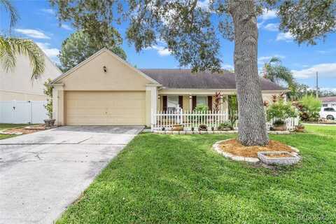 Country Crossing, TAMPA, FL 33624