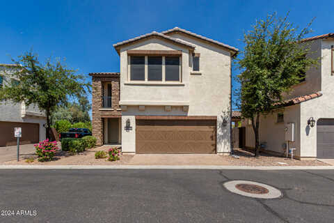 Sycamore, CHANDLER, AZ 85286