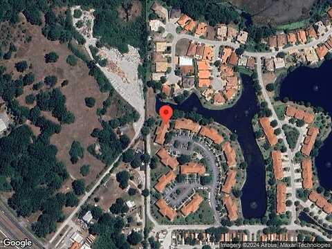 Dali, LAND O LAKES, FL 34637