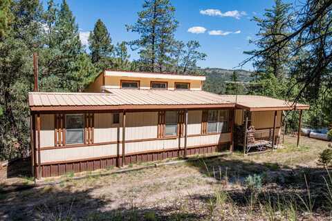 24 South Ave, Mayhill, NM 88339