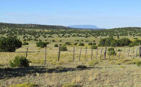 Off of Hwy 60 west of Qemado, Quemado, NM 85048