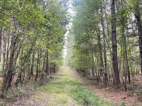 00 Blackberry Ridge Road, Vance, AL 35403