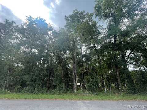 6534 Kent Street, Inverness, FL 35542