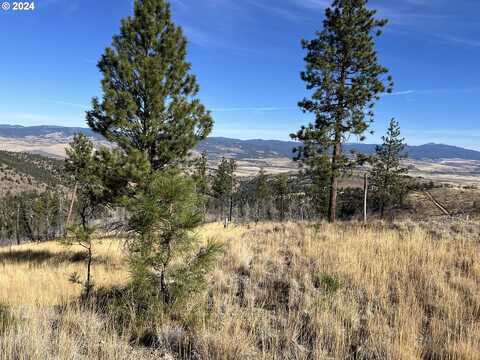 25422 Baldy Mountain RD, John Day, OR 97845