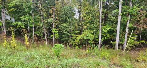 Lot 35/36 Circle View ST, Rocky Mount, VA 24151