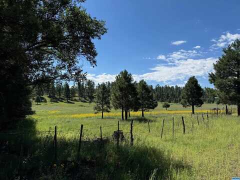 23 Mail Hollow Trail, Luna, NM 87824