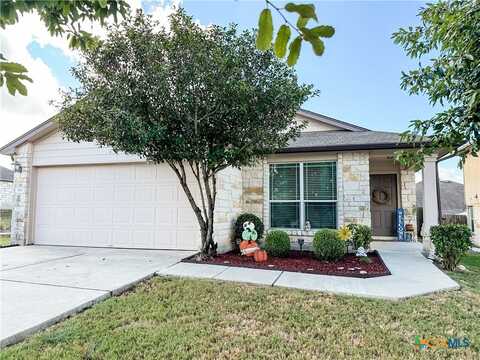 160 Collared Dove Cove, Kyle, TX 78640