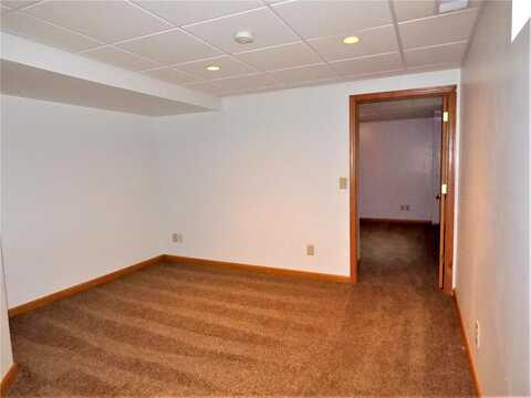 Savanna, JANESVILLE, MN 56048