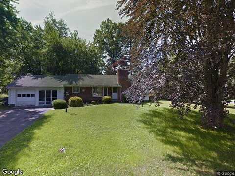Timberland, ALBANY, NY 12211