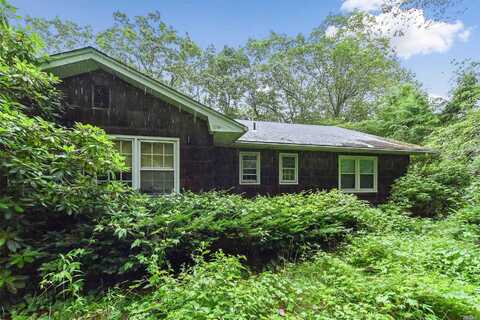 Sugar Toms, EAST NORWICH, NY 11732