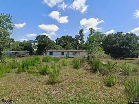 Chinaberry, LUTZ, FL 33558