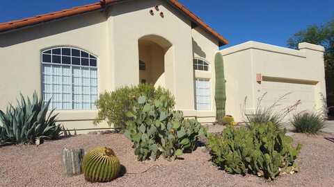 Fenceline, TUCSON, AZ 85748