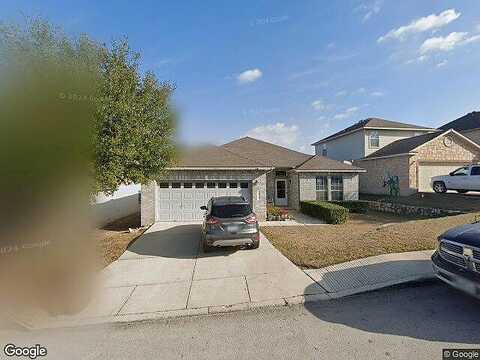 Buckthorn, SAN ANTONIO, TX 78261