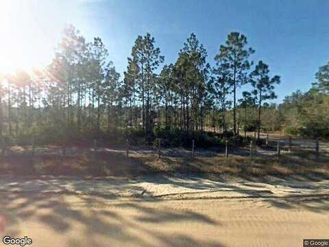 Currant, MIDDLEBURG, FL 32068