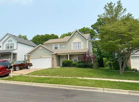 Marmora, CHICAGO, IL 60639
