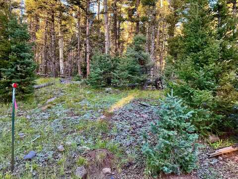 Lot 1332 Skyview Way, Angel Fire, NM 87710