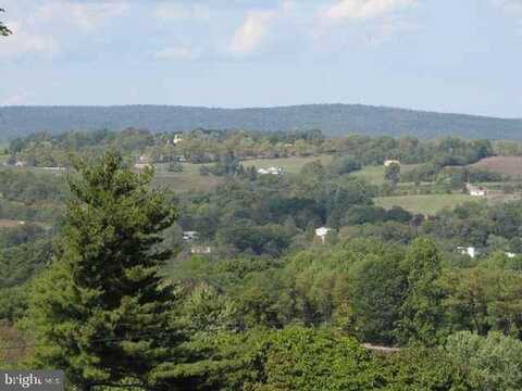 Lot PETERS MOUNTAIN ROAD, HALIFAX, PA 17032