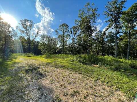 Crappie Dr, BUCHANAN, TN 38222