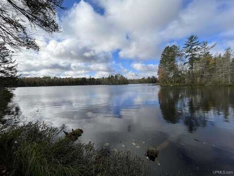 TBD Horseshoe Lake, Republic, MI 49879